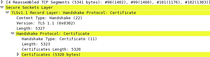 WireShark capture of a 5,323-byte TLS certificate chain