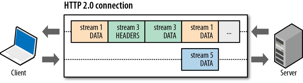 HTTP 2.0 request and response multiplexing within a shared connection