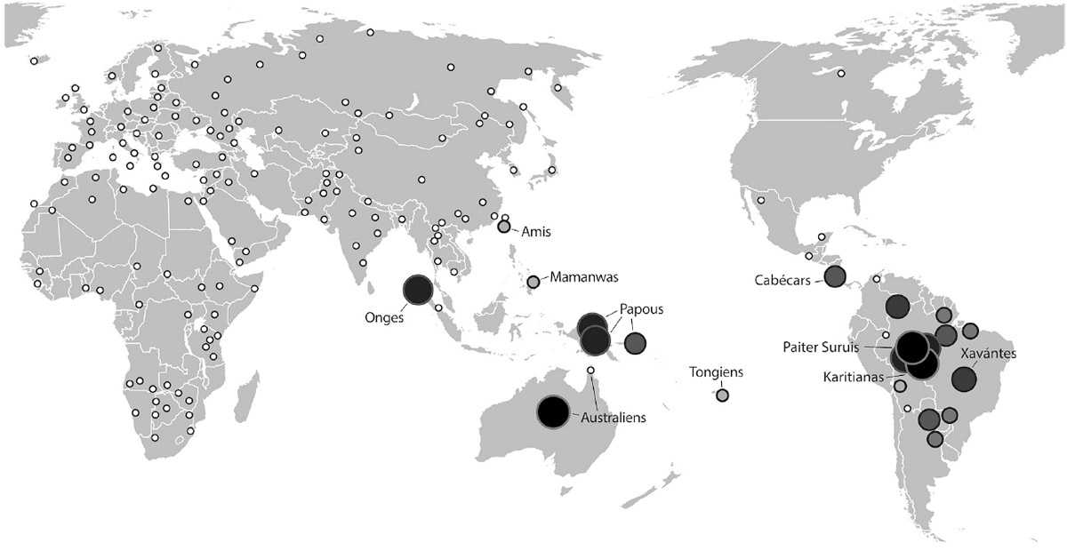 Illustration. Les Américains du Sud, notamment dans la forêt amazonienne, partagent des ancêtres communs avec les Australasiens et les Mélanésiens, des populations dont on ne trouve aucune trace chez les Amérindiens d’Amérique du Nord ou centrale. (D’aprèsN  ature, « Genetic Evidence for Two Founding Populations of the Americas », 3 Septembre 2015.)