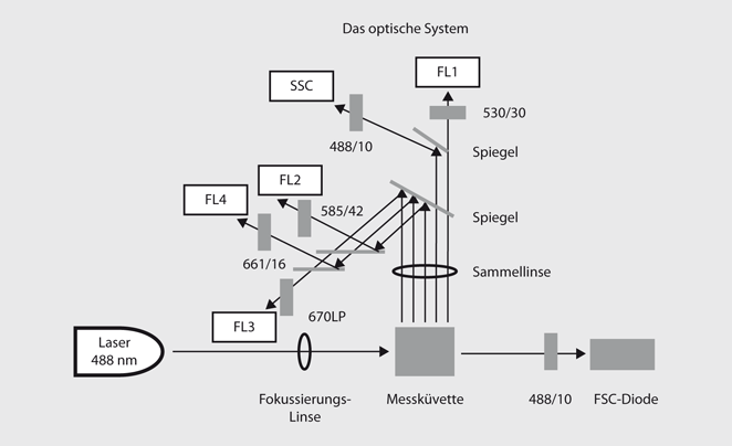 A154107_4_De_3_Fig2_HTML.gif