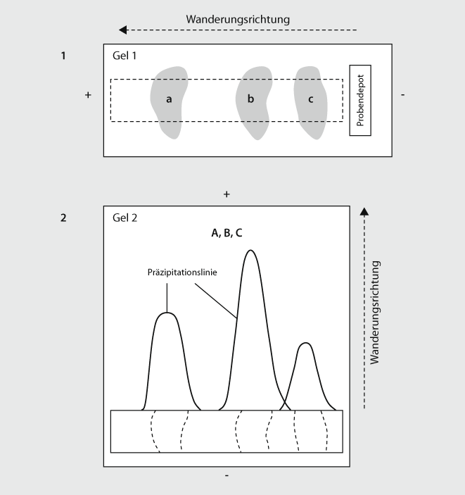 A154107_4_De_7_Fig6_HTML.gif