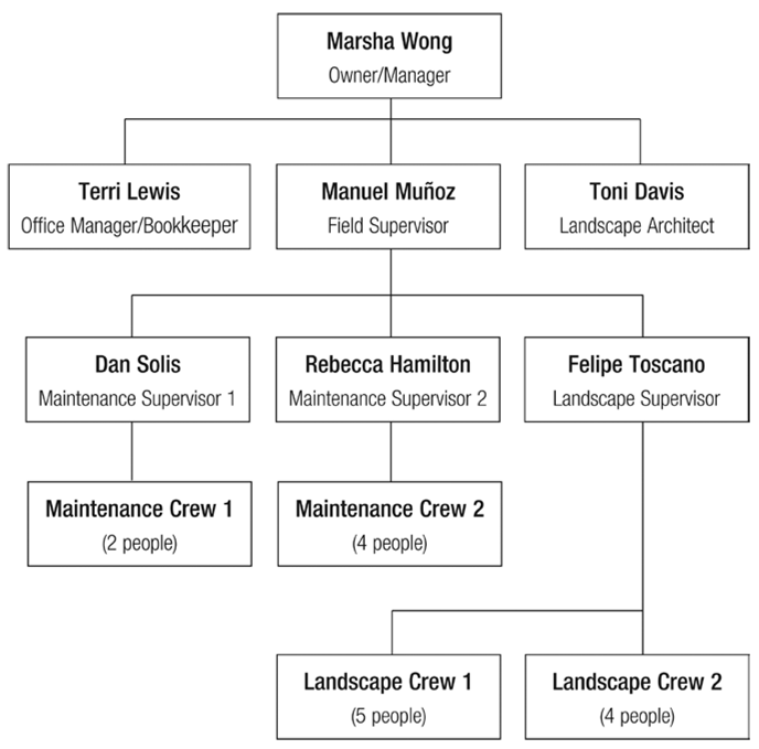 Marsha Wong Owner/Manager Terri Lewis Office Manager/Bookkeeper Manuel Muñoz Field Supervisor Toni Davis Landscape Architect Dan Solis Maintenance Supervisor 1 Rebecca Hamilton Maintenance Supervisor 2 Felipe Toscano Landscape Supervisor Maintenance Crew 1 (2 people) Maintenance Crew 2 (4 people) Landscape Crew 1 (5 people) Landscape Crew 2 (4 people)