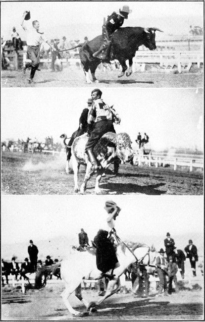 1., 2. and 3. Cowboy Games at Bakersfield.