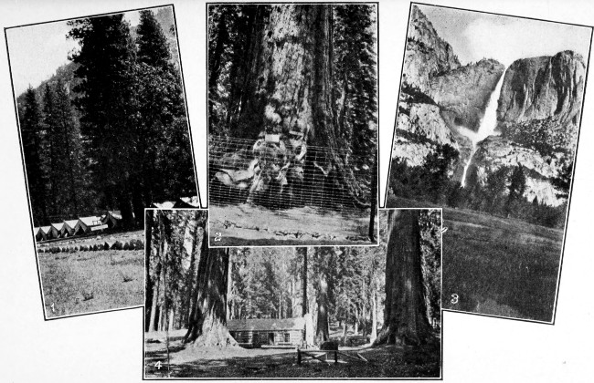 1. Camp Ahwahnee, Yosemite Valley. 2. Grizzly Giant, Mariposa Big Trees. 3. Yosemite Falls. 4. Cabin in Mariposa Grove.