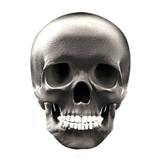 ZOMBIE_SKULL_ICON%20copy.jpg