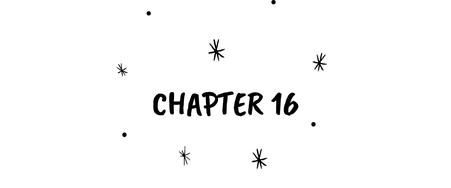 Chapter 16