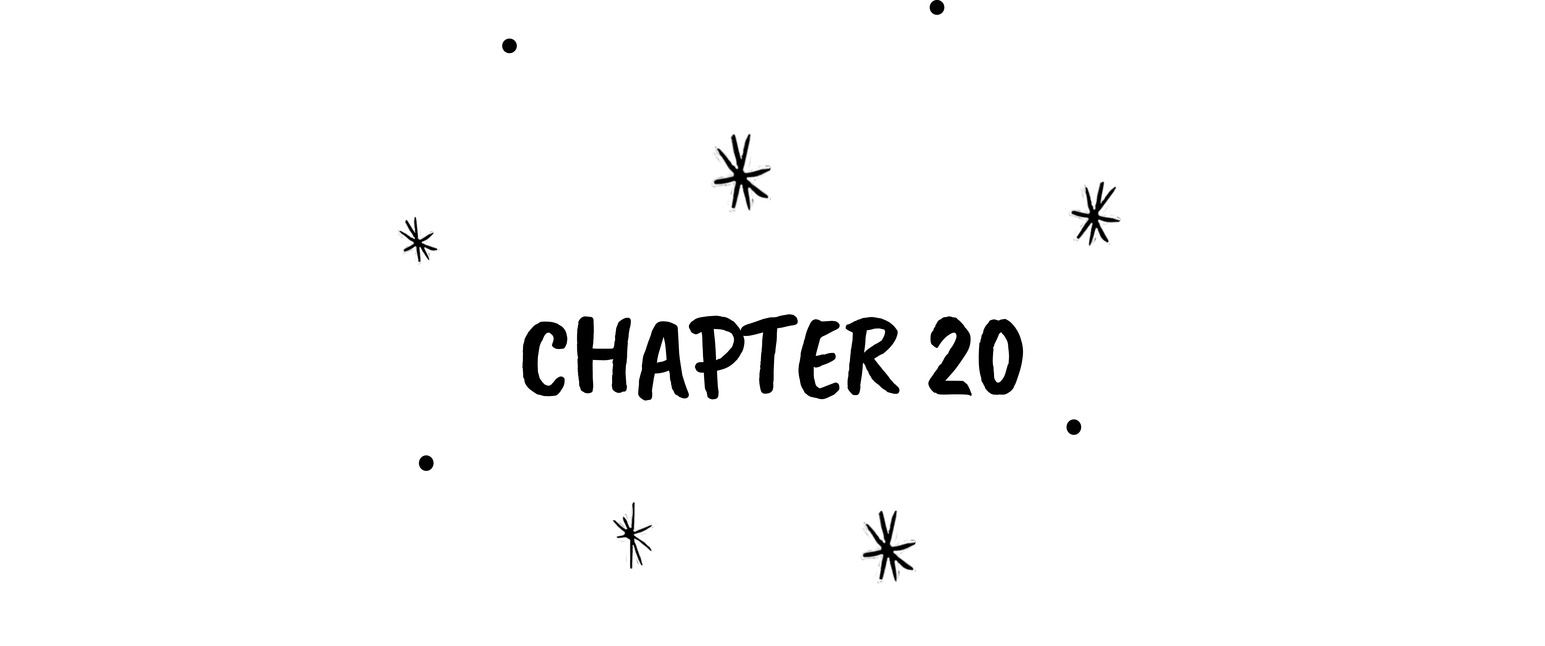 Chapter 20