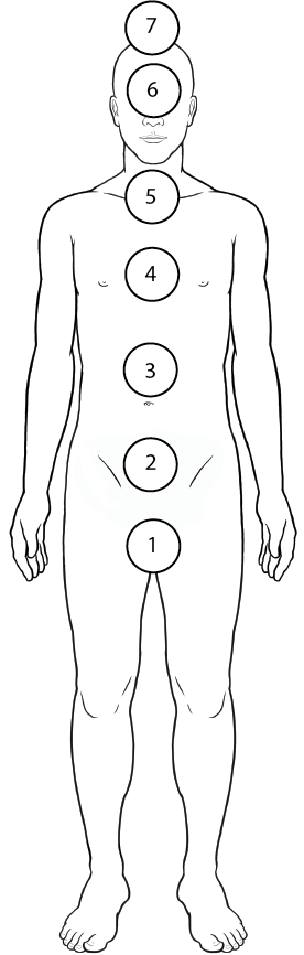 Seven Primary Chakras