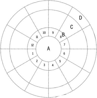 Figure 2: Birth chart layout