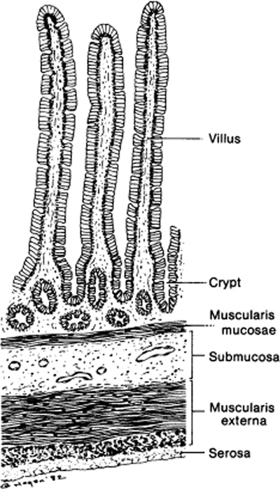 A978-0-387-09515-8_10_Fig1_HTML.jpg