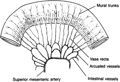 A978-0-387-09515-8_10_Fig3_HTML.jpg