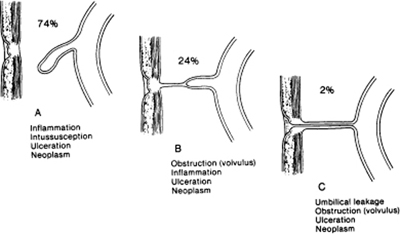 A978-0-387-09515-8_10_Fig6_HTML.jpg