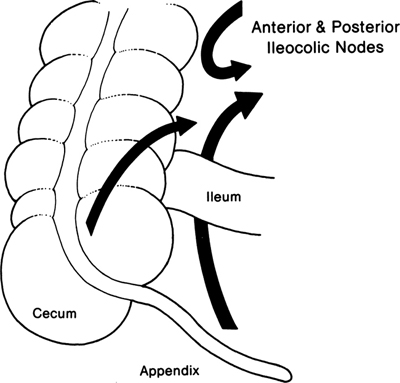 A978-0-387-09515-8_11_Fig2_HTML.jpg