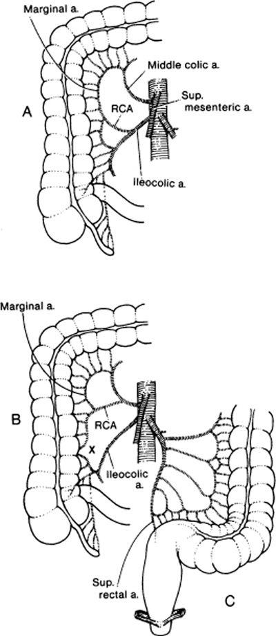 A978-0-387-09515-8_12_Fig15_HTML.jpg