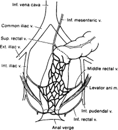 A978-0-387-09515-8_12_Fig17_HTML.jpg