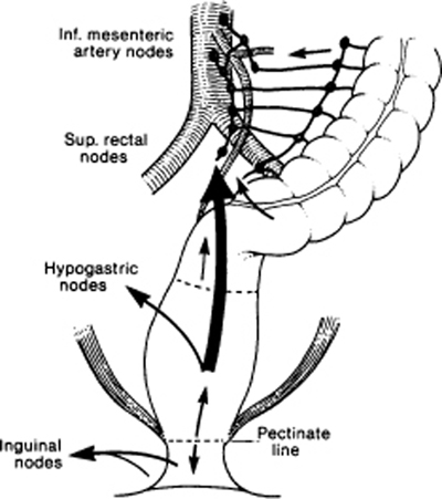 A978-0-387-09515-8_12_Fig20_HTML.jpg