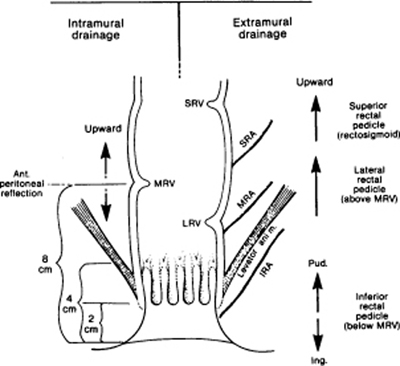 A978-0-387-09515-8_12_Fig21_HTML.jpg