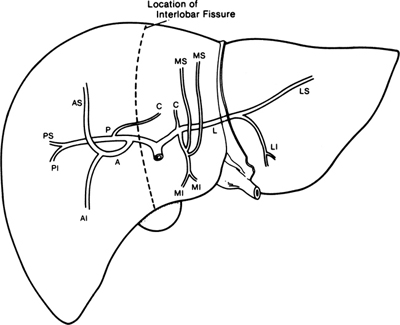 A978-0-387-09515-8_13_Fig10_HTML.jpg