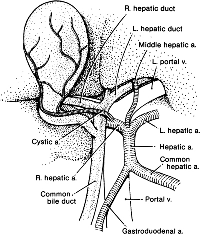 A978-0-387-09515-8_13_Fig11_HTML.jpg