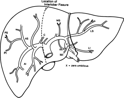 A978-0-387-09515-8_13_Fig12_HTML.jpg