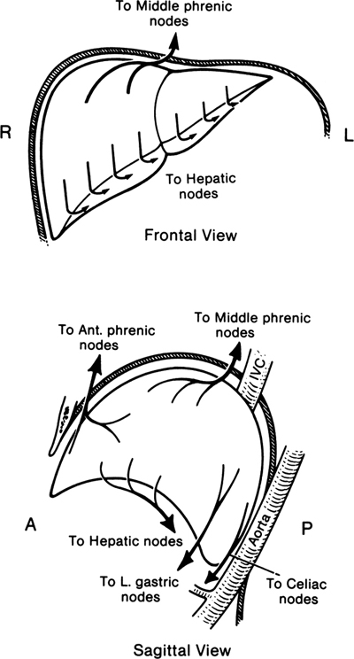 A978-0-387-09515-8_13_Fig14_HTML.jpg