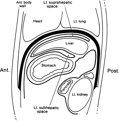 A978-0-387-09515-8_13_Fig16_HTML.jpg