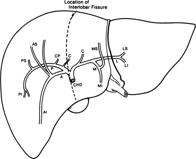 A978-0-387-09515-8_13_Fig5_HTML.jpg