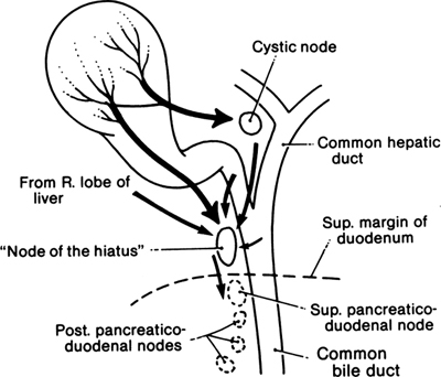 A978-0-387-09515-8_14_Fig10_HTML.jpg