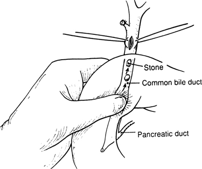 A978-0-387-09515-8_14_Fig25_HTML.jpg