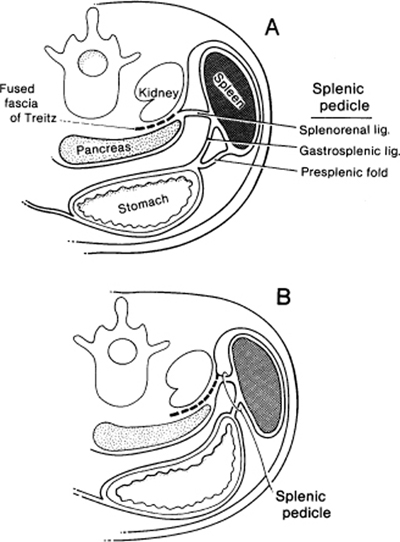 A978-0-387-09515-8_15_Fig6_HTML.jpg