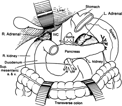 A978-0-387-09515-8_16_Fig1_HTML.jpg