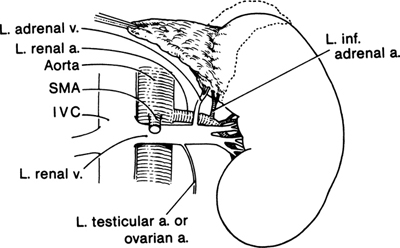 A978-0-387-09515-8_16_Fig8_HTML.jpg