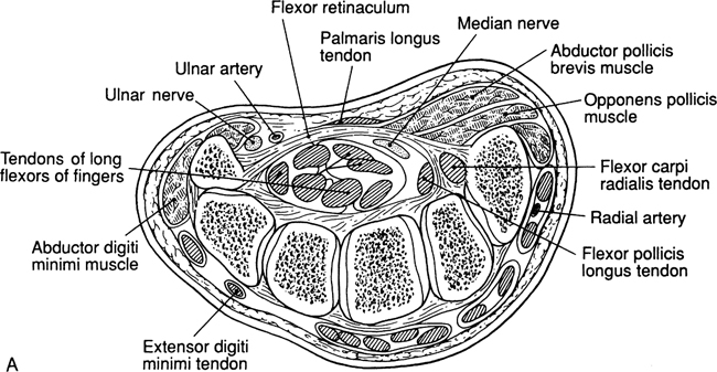 A978-0-387-09515-8_19_Fig1a_HTML.jpg