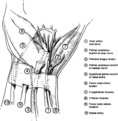 A978-0-387-09515-8_19_Fig4_HTML.jpg