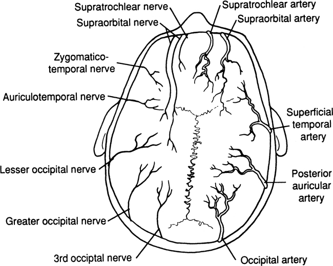 A978-0-387-09515-8_1_Fig3_HTML.jpg