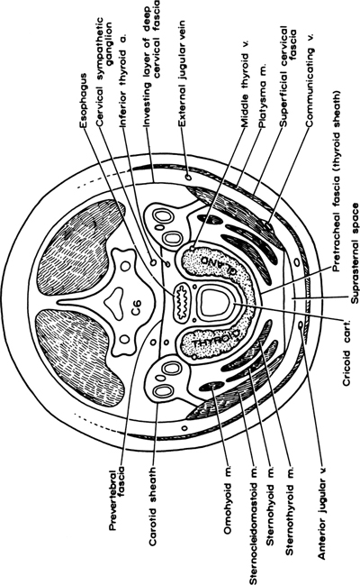 A978-0-387-09515-8_2_Fig10_HTML.jpg