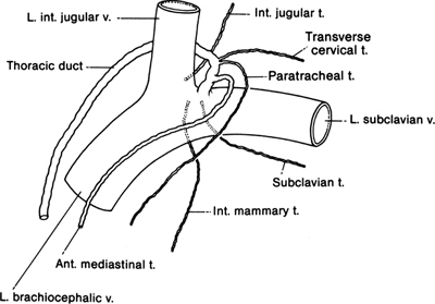 A978-0-387-09515-8_2_Fig12_HTML.jpg