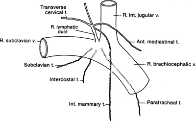 A978-0-387-09515-8_2_Fig13_HTML.jpg