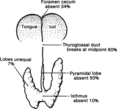 A978-0-387-09515-8_2_Fig14_HTML.jpg