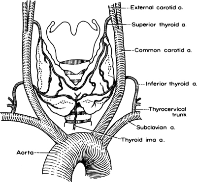 A978-0-387-09515-8_2_Fig15_HTML.jpg