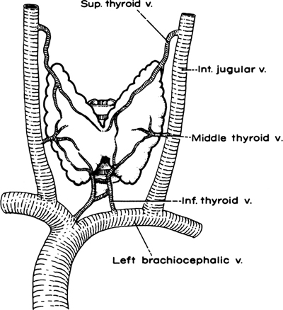 A978-0-387-09515-8_2_Fig17_HTML.jpg