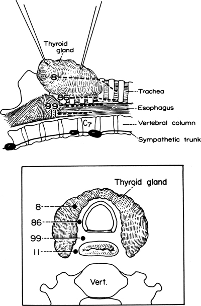 A978-0-387-09515-8_2_Fig18_HTML.jpg