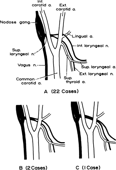 A978-0-387-09515-8_2_Fig19_HTML.jpg