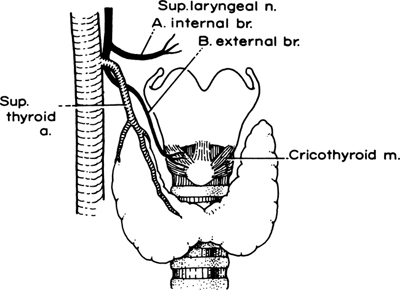 A978-0-387-09515-8_2_Fig20_HTML.jpg