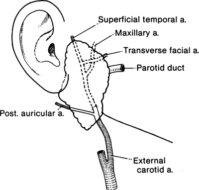 A978-0-387-09515-8_2_Fig22_HTML.jpg