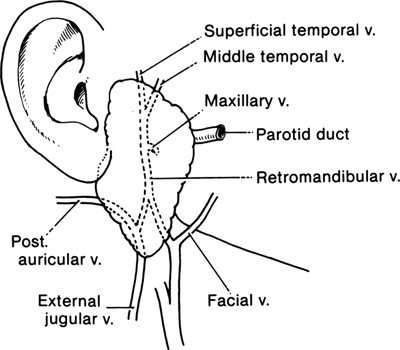 A978-0-387-09515-8_2_Fig23_HTML.jpg