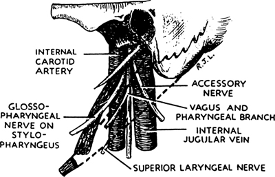 A978-0-387-09515-8_2_Fig24_HTML.jpg