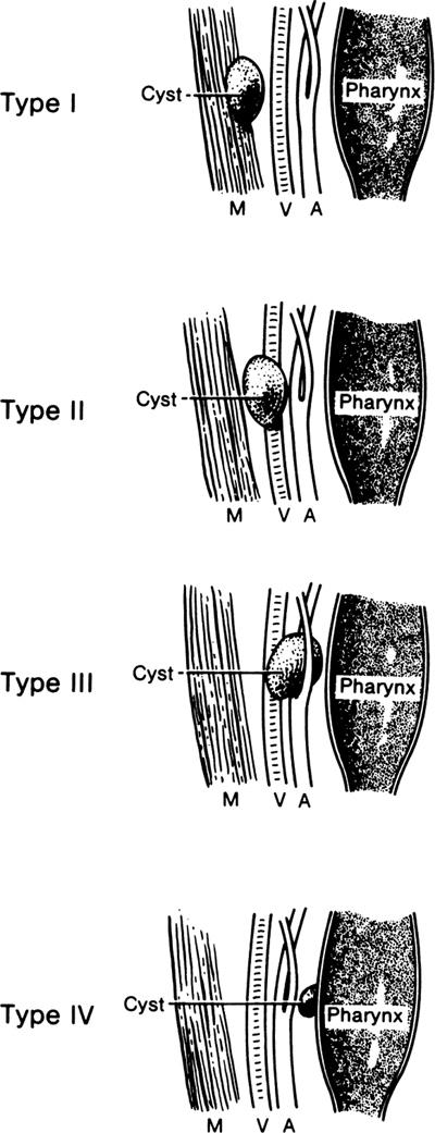 A978-0-387-09515-8_2_Fig27_HTML.jpg