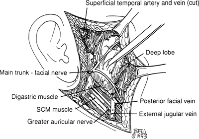 A978-0-387-09515-8_2_Fig33_HTML.jpg