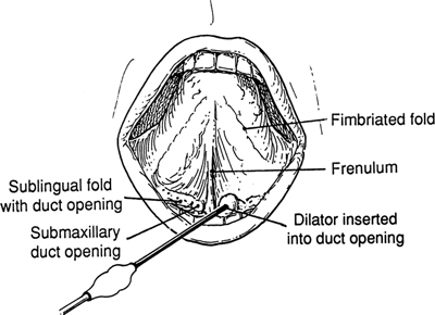 A978-0-387-09515-8_2_Fig39_HTML.jpg